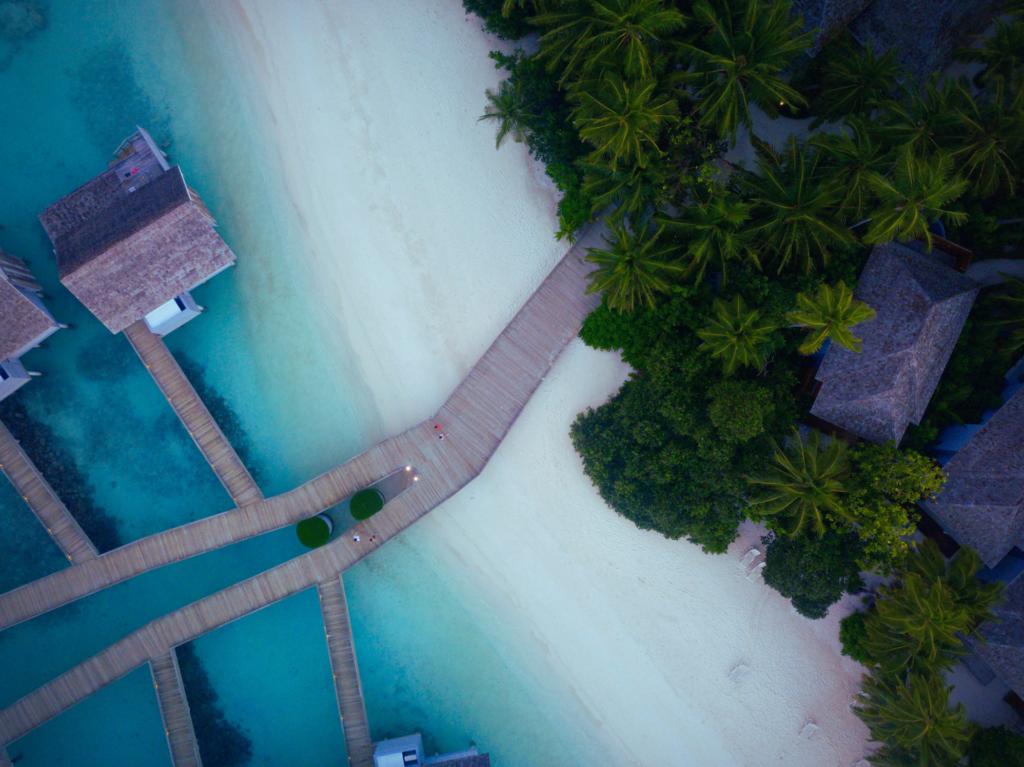 Untitled design (19)